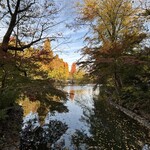 御菓子処 俵屋 - 井の頭公園