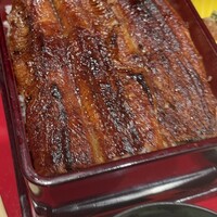 炭焼 うな富士 有楽町店 - 