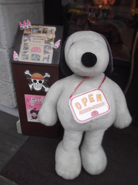 キャラクターハウス 夢の音 売店 - 南小樽（ジェラート・アイスクリーム）の写真