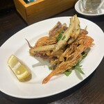 ラ・ピッコラ・ターヴォラ - 