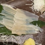 居酒屋 勇旬 いか太郎 本店 - 