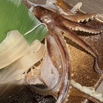 居酒屋 勇旬 いか太郎 本店 - 