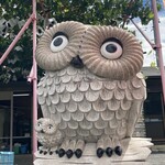 和田農園 - 大きな梟が目印