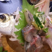 季節の魚と釜飯 魚信 - 鯵も生簀から。