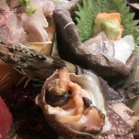 季節の魚と釜飯 魚信 - サザエと車海老は動いてるよ！！