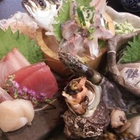 季節の魚と釜飯 魚信 - 特選刺身御膳