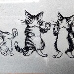 ナッシュカッツェ - 