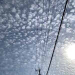 中華そば 深緑 - 