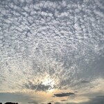 中華そば 深緑 - 