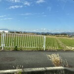 伊勢原ドーナツ - ふたごぼし様の真っ赤なポルシェで伊勢原の街を大爆走！