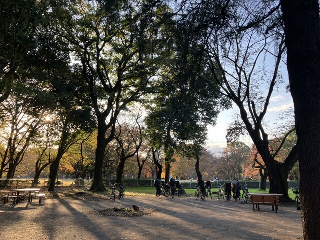 Parks Kinuta Bijutsukanmae Ten photo 4