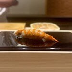 鮨 ゆうき - 車海老