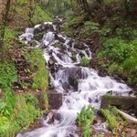 たんばらラベンダーパーク - 強清水の滝。