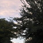 虎包 新百合ヶ丘店 - 