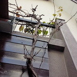 バックシュトゥーベ ツオップ - 