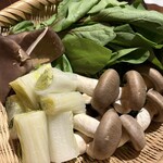 国分寺　翔 - 見事な大きさ＋食感の鮑茸としめじ。白菜の下処理は茹でずに蒸しているので甘く濃厚な味わいで蕩けるよう。