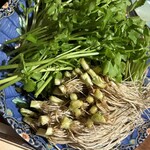 国分寺　翔 - みずみずしい秋田三関のセリがたっぷり。根っ子が最高！