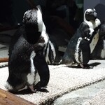 餃子屋 弐ノ弐 - 