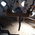 餃子屋 弐ノ弐 - 