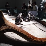 餃子屋 弐ノ弐 - 