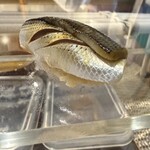 鮮魚 鮨 割烹 一心 - 