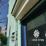 スパイス・ツリー - 