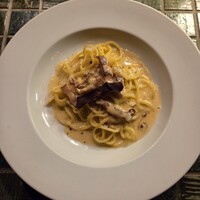 シャイニーアウル 表参道 - 