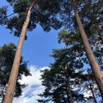 安曇野 そば処 青崎 - 