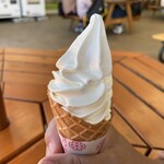 ミルクプラントソフト売店 - 