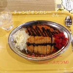 チャンピオンカレー - チキンカツにロースカツトッピング