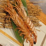 炭火焼き ヒノカミ - 