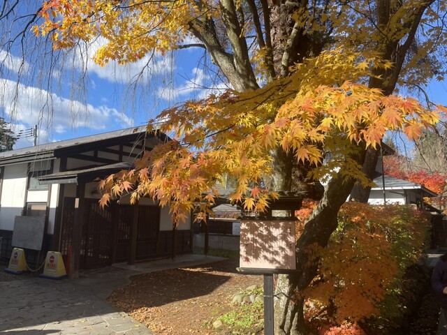 唐土庵 武家屋敷店（モロコシアン） - 角館（和菓子）の写真