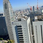 京王プラザホテル - ホテルからの眺めも良い！