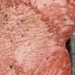 力道 - 料理写真: