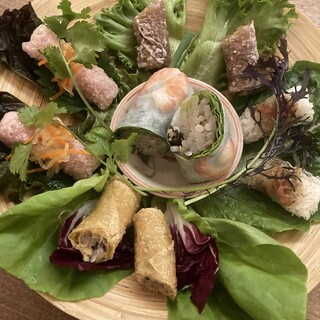 VIETNAM FRENCH XUAN_0