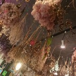 秘密基地植物園   - 