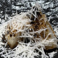 北海道炉端焼き 篝 - 