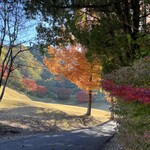 埼玉国際ゴルフ倶楽部 - 