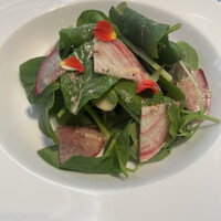 ベンジャミンステーキハウス KITTE大阪店 - 