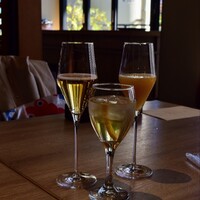 スミレオオサカ - 