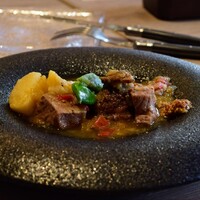 スミレオオサカ - 