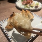 炭火焼鳥と一口餃子 TORA鶏YA - 