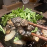 炭火焼鳥と一口餃子 TORA鶏YA - 