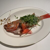 広東料理 センス - 