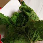 OTAKARA MARKET - 産直野菜 大きな白菜380円