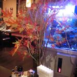 盤古茶屋 - 2014' 11/25 この水槽の中、凄いのです！