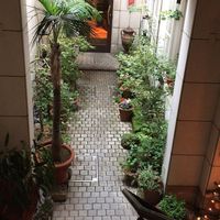 中國名菜 龍坊 代官山店 - 