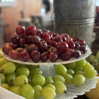 XEX ATAGO GREEN HILLS / Salvatore Cuomo Bros. - 