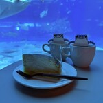 オーシャンブルー - 