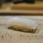 鮨 西崎 - 白烏賊